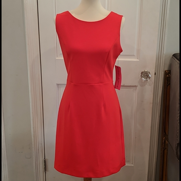 🌹NWT Betsey Johnson Dress!! - Picture 2 of 6